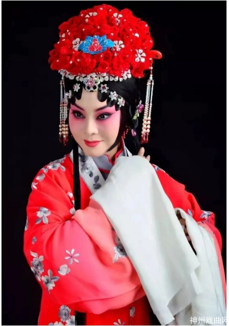 王英会，彭蕙蘅，王少华，金玉芳……京津冀梆子名家齐聚，再度上演反串版《龙凤呈祥》_14