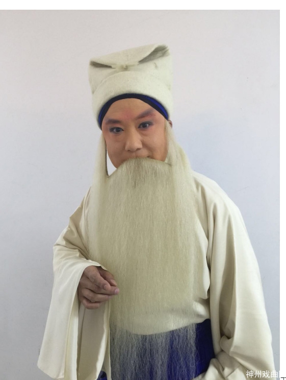 两朵梅花齐绽放——王少华领衔《打金枝》、杨丽萍领衔《双官诰》即将上演_25